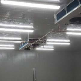 General Wiring for New Construction & Renovations